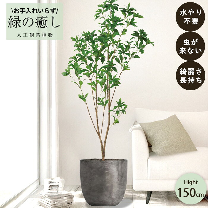 【メーカー直送】 フェイクグリーン アセビ ポット付き 150cm 中大型 高級 室内 人工観葉植物 送料無料 屋外不可 acs