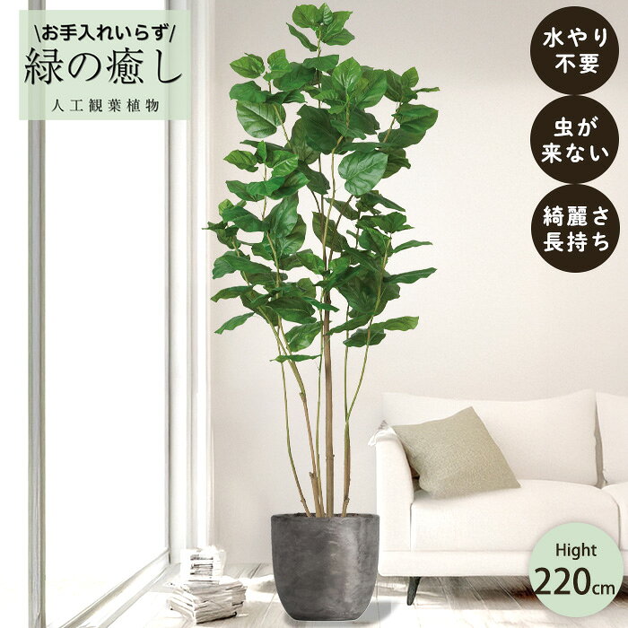 【メーカー直送】 フェイクグリーン フィカス ウンベラータ ポット付き 220cm 大型 組み立て式 高級 室内 人工観葉植物 屋外不可 acs