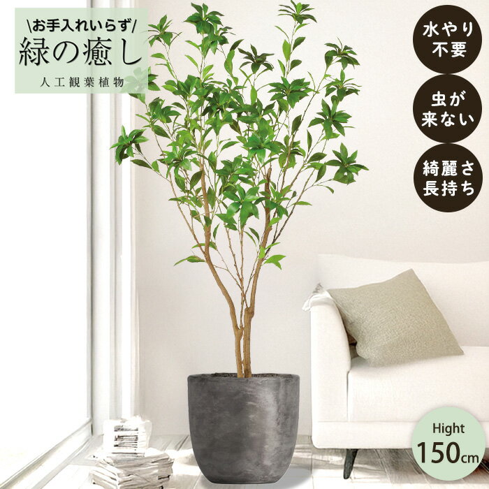 【メーカー直送】 フェイクグリーン アセビ ポット付き 150cm 中大型 高級 室内 人工観葉植物 送料無料..
