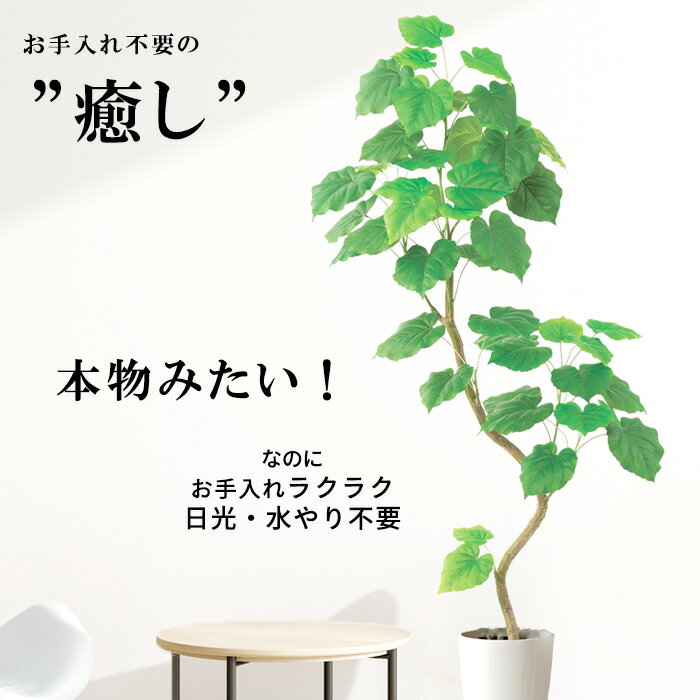 �ڥ᡼����ľ���� �ե��������꡼�� ���꡼�� �ݥå��դ� 230cm �緿 �Ȥ�Ω�Ƽ� ��� ���� �͹����տ�ʪ �����Բ� acs