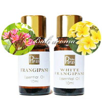 プルメリアアロマオイルセットホワイトフランジパニ フランジパニ レッド 10mlトコパラス精油エッセンシャルオイル花の香りバリ島南国フランジュパニジュプン5つ星高級ホテル高級リゾートアジアンギフトプレゼント ワラウ 遊べるポイントサイト プルメリアアロマオイルセットホワイトフランジパニ フランジパニ レッド 10mlトコパラス精油エッセンシャルオイル花の香りバリ島南国フランジュパニジュプン5つ星高級ホテル高級リゾートアジアンギフトプレゼント ワラウ 遊べるポイントサイト