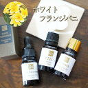 アロマオイル 送料無料 ホワイトフランジパニ 10ml 精油 エッセンシャルオイル 加湿器 トコパラス 花 ジュプン プルメルア 甘い 高級 ホテル サロン スパ リゾート 癒し アロマ 南国 バリ島 アジアン ギフト プレゼント