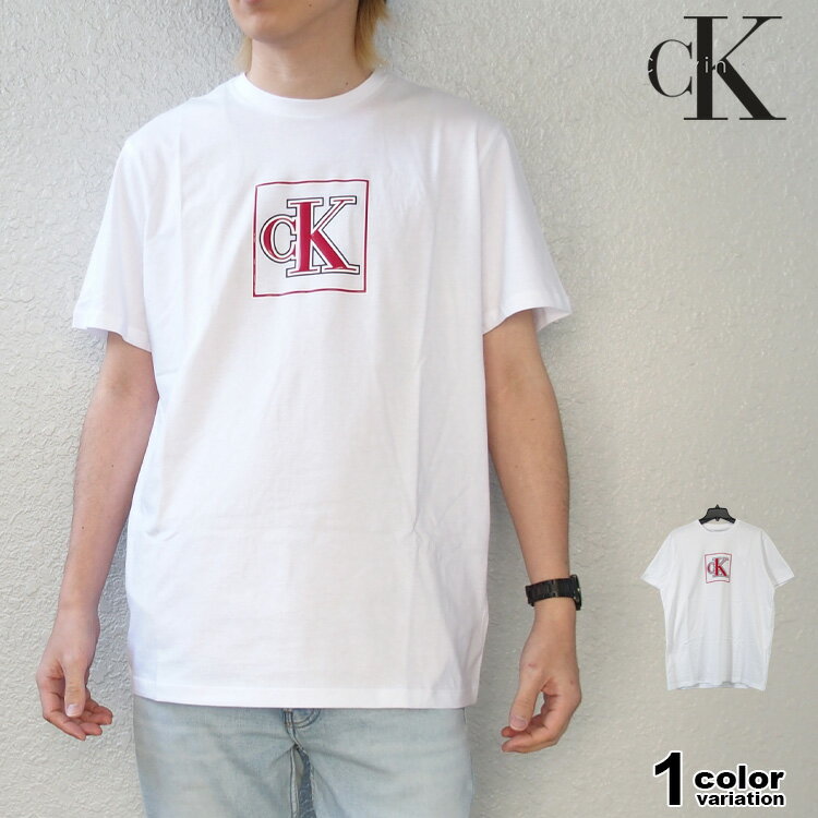 樂天商城 - カルバンクライン Tシャツ 半袖 ロゴプリント Calvin Klein SS Graphic Classic T-Shirt メンズ (calvin klein tシャツ トップス 4R8046S)【メール便対応】