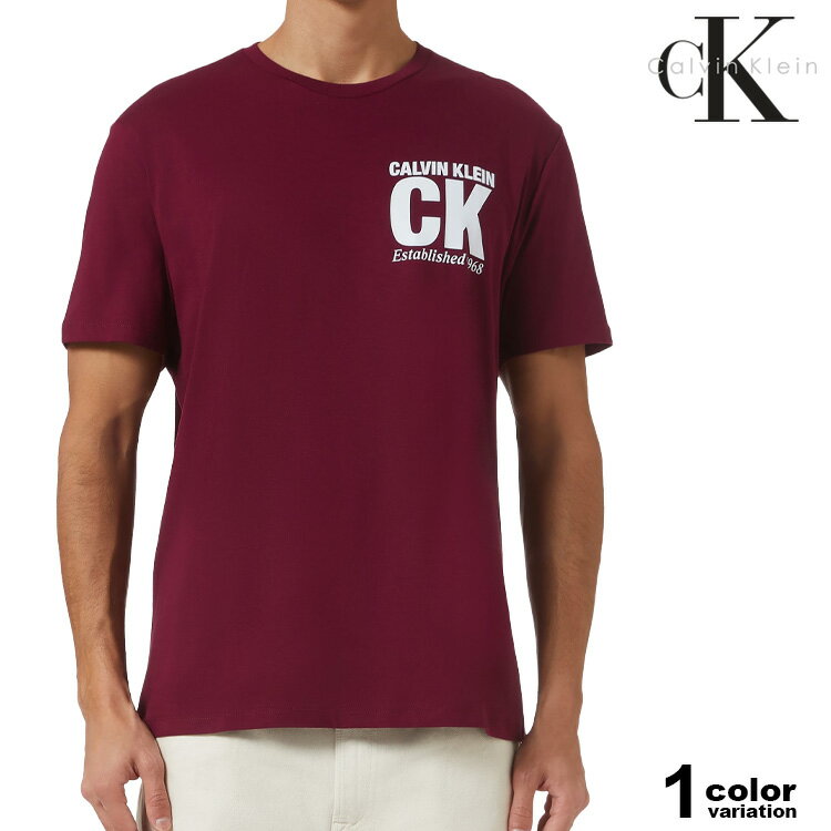 カルバンクライン Tシャツ 半袖 ロゴプリント Calvin Klein SS 30S WHSL SP CK CORNER GRAPHIC TEE メンズ (calvin klein tシャツ トップス 4RE819G)【メール便対応】