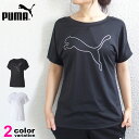 プーマ 【プーマ Tシャツ レディース】 半袖 Tシャツ PUMA レディース トレーニング ジャージー キャット Tシャツ スポーツウェア トレーニングシャツ ランニング ジョギング ジム フィットネス #519939【メール便対応】