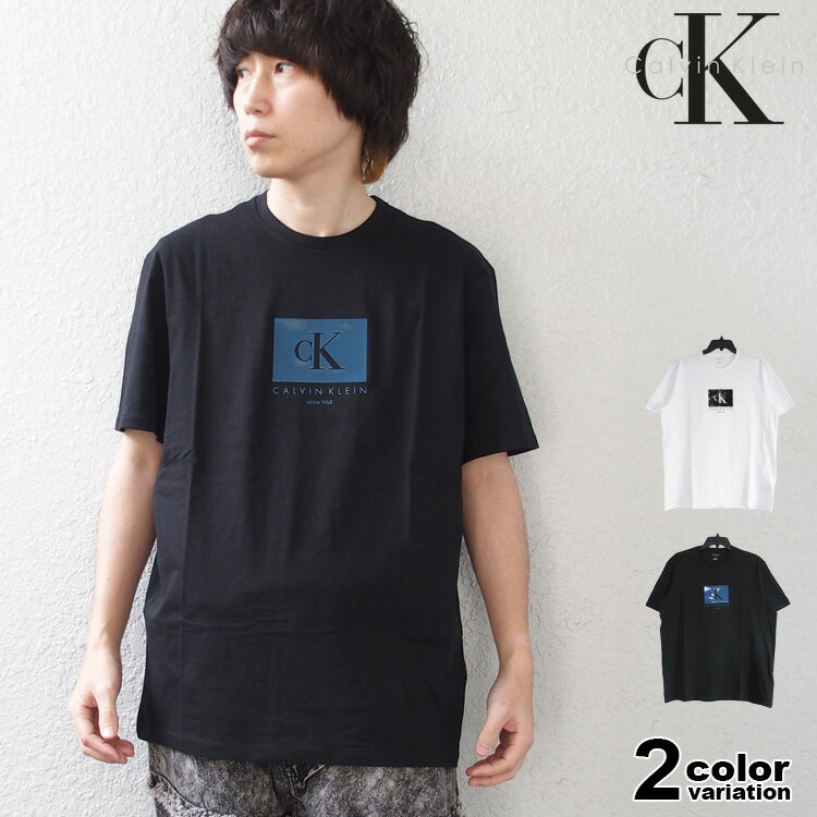 樂天商城 - カルバンクライン Tシャツ 半袖 ロゴプリント Calvin Klein SS GRAPHIC TEE メンズ (calvin klein tシャツ トップス 4R8012S)【メール便対応】