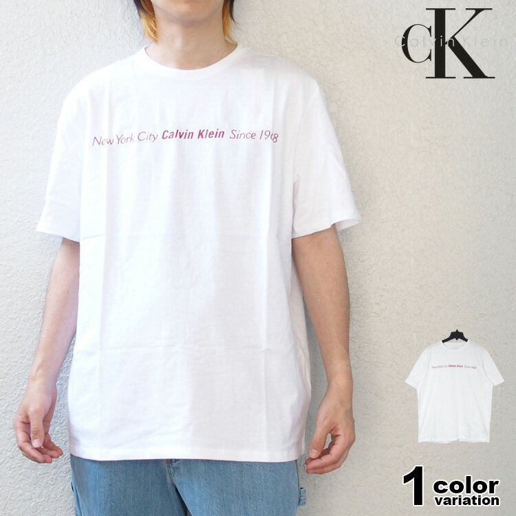 Rakuten - カルバンクライン Tシャツ 半袖 ロゴプリント Calvin Klein SS GRAPHIC TEE メンズ (calvin klein tシャツ トップス 40EM860 父の日)【メール便対応】