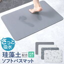 SOIL BATH MAT ソイル バスマット 珪藻土/調湿