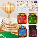 生はちみつ 250g オーストラリア 送料無料 レザーウッド マカダミア ハニー 高麗人参 はちみつ 蜂蜜 天然 非加熱 100% 純粋 無添加 オーガニック ...