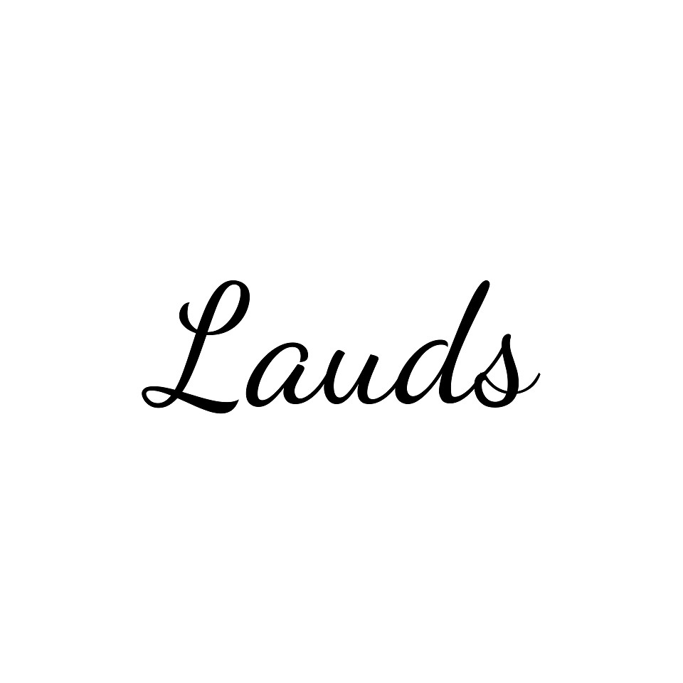 Shop icon