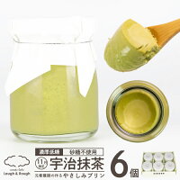 糖質制限 低糖質 スイーツ プリン 宇治抹茶《75g×6個》糖尿病 ギフト 妊婦 プレゼント お返し 糖質オフ 糖質制限 低糖 誕生日 出産 内祝い グルテンフリー デザート お取り寄せ 砂糖不使用 赤ちゃん バースデー お菓子 出産祝 抹茶プリン イベント 誕生日プレゼント 母親