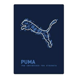 プーマ B5下敷 ネイビー PUMA 下じき したじき BOYS文具 189302