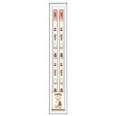 ミッフィー 赤鉛筆2本入 189630 新入学 miffy