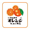 マルカワフーセンガム やわらかミニタオル オレンジ お菓子シリーズ 206919