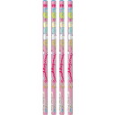 【4本セット】すみっコぐらし 鉛筆2B丸 同柄4本組