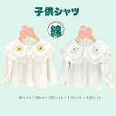 子供シャツ 綿シャツ 子供服 綿 キッズシャツ 子供用綿シャツ 子供用Tシャツ 綿 子供シャツ キッズウェア 綿 子供服 綿素材 子供ポロシャツ 綿 女の子 子...