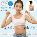 【選べる2枚セット】ジュニアブラ 学生ブラ 胸の成長 健康的 快適 サポート シームレス ブラトップ ナイトブラ 軽量 薄手 インナー カップ付き ブラジャー ...