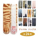 【即納】Leg Avenue Spandex fishnet pantyhose. 【Leg Avenue　（ストッキング、ランジェリー、衣装、コスチューム、小物）】【コスチュームアクセサリー】【LEG-HO-9013】