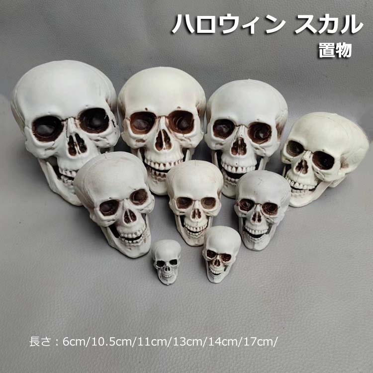 楽天市場】ハロウィン ガイコツ 骸骨の通販 楽天市場】ハロウィン ガイコツ 骸骨の通販