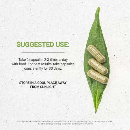 �������ˡ� ���ץ���� 120���ץ��� ��800mg�˥�����⡼�� ����ߥ��ҥ� Tribe Store - Agrimony Dried Herb�ɥ饤 �ϡ��� �ե�ܥΥ��� �ݥ�ե��Ρ���