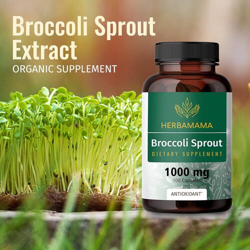 ブロッコリースプラウト 100カプセル 1000mg HERBAMAMA Broccoli Sprouts Capsules