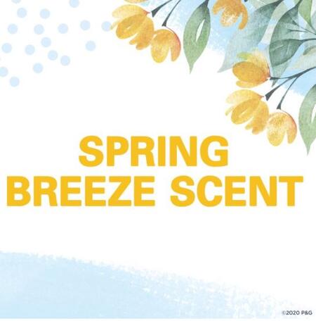 ��������å� �ڥ��ץ�󥰥֥꡼�� X 3�ܡۥ���ӥ��֥륽��å� �ǥ��ɥ��� 73g���򤯤ʤ�ʤ������ס�SECRET SPRING BREEZE