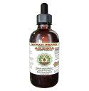 あけび濃縮エキス 60ml Akebia Liquid Extract, Dried fruit 2oz 超濃縮 アケビ 抽出物 Hawaii Pharm LLC Akebia