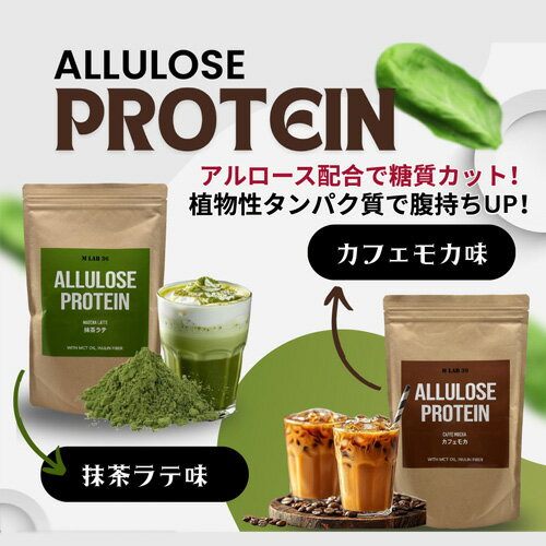 2種類セット アルロース プロテイン 500g 【抹茶ラテ】 植物性プロテイン ソイプロテイン ピープロテイン アルロース甘味料 希少糖 Allulose Protein 美味しくボディメイク 人工甘味料不使用