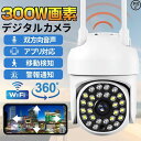 防犯カメラ センサー 家庭用防犯カメラ 監視カメラ 300w画素 AI人検知 SDカード録画 夜間カラー撮影 自動追尾 屋内屋外通用 防水 2025 新品