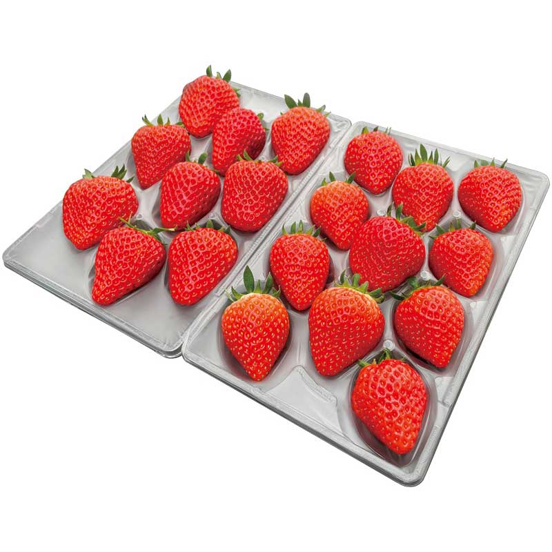 【お歳暮ギフト 2025】 いただきいちご園 福岡県産 いちご食べ比べギフト