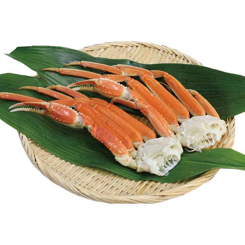 【お歳暮ギフト 2025】 ずわい蟹肩脚