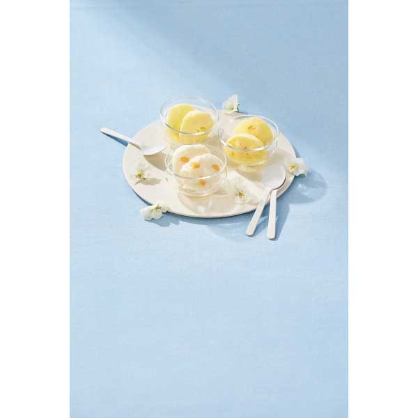 【2025 お歳暮】 ザ・スウィーツ 日本の柑橘シャーベット（9個）