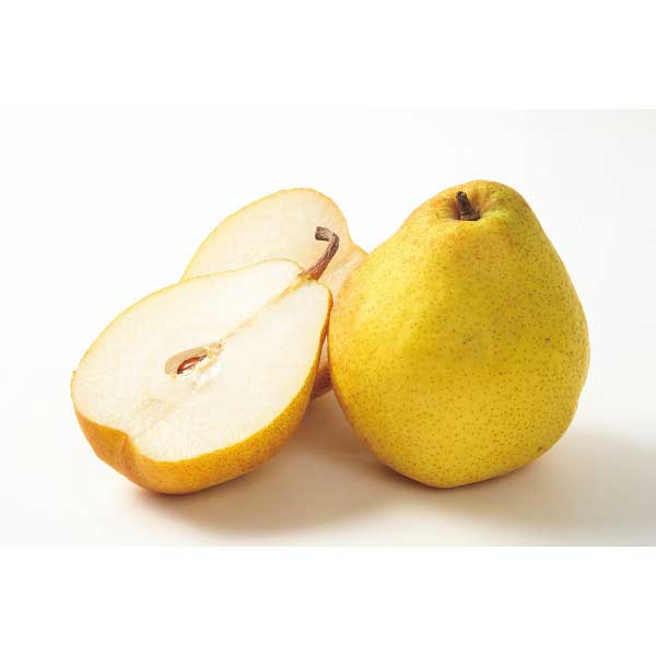 【2025 お歳暮】 山形県産 ラネージュ