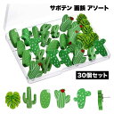 【BLACK FRIDAY P5倍】 画びょう 木製 サボテン ピン 雑貨 文房具 かわいい プッシュピン 壁 コルク板 事務用品 可愛い 大容量 写真 コルク...