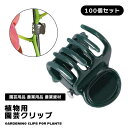 誘引クリップ 誘引 クリップ 園芸クリップ 誘引資材 園芸用品 農業用品 農業資材 支柱 固定 ガーデニング つる 植物用クリップ 100個セット プラスチック 誘引作業 園芸便利クリップ 蘭植物用クリップ ガーデン用品 トマト なす きゅうり ぶどう 梨 桃 誘引具...