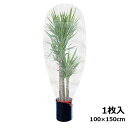 虫よけ 防虫ネット プランター カバー 100x150cm 害虫よけ 園芸 家庭菜園 ガーデニング 鉢 鳥 よけ 送料無料