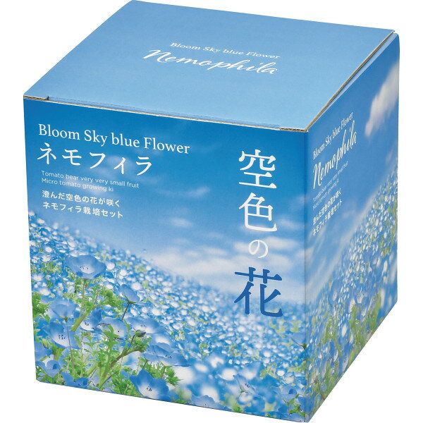 【最新 父の日 ギフト】 家庭菜園 簡単 栽培キット ゆったり育てる ネモフィラ 花 栽培セット (自由研究) 鉢の径約11cm 空色の花 母の日 プレゼント 誕生日 聖新陶芸 ネモフィラ栽培セットのサムネイル
