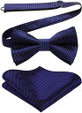 ネイビー 蝶ネクタイ メンズ ワンタッチ 蝶ネクタイ チーフ セット 絹シルク ボウタイ 結婚式 ペイズリー 柄 クリップ式 簡単着脱 礼服 プレゼント 送料無...