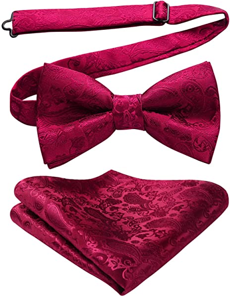 赤 蝶ネクタイ メンズ 結婚式 大人 ワンタッチ 蝶ネクタイ ポケットチーフ セット ペイズリー 花柄 おしゃれ ボウタイシルクビジネス フォーマル ブランド ...