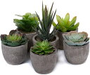 観葉植物 人工観葉植物 フェイクグリーン 人工多肉植物 造花 インテリア 6点入り お世話不要 プレゼント 贈り物 開店祝い