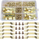 壁掛けフック (100Pcs/ゴールデン) 真鍮フック 壁装飾フック ねじフック 額縁フック 石膏ボードフック 鋸歯フック 隠しフック 多機能フック 強力フック...