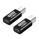 LUIYNG Type-C to Type-B MIDI 変換アダプタ USB 2.0標準転送レート480 Mbps スマホ MIDIキーボード デジタルピアノ...