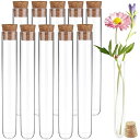 試験管 プラスチック 容器 10本セット ストレージコンテナ コルクストッパー付き 透明なデザイン ラウンドベース 多用途 サンプル保存 花試験管 植物の栽培 ...