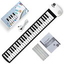 ロールピアノ 49鍵盤 電子ピアノ 100種類音色 100種類リズム 10デモ曲 USB充電式 スピーカー内蔵 子供 練習 初心者 入門者向け 鍵盤シール 単4電池対応