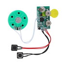 4分録音 DIY 音声 録音モジュール レコーダー 付き マイク サウンドオーディオスピーカー 拡声器 手作りグリーティングカード ギフトボックス 招待状 など...