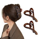 ヘアクリップ 大きめ しっかりとまる 2個セット 髪留め クリップ バンスクリップ ヘアくりっぷ ヘアアクセサリー 大人 韓国 可愛い 軽量 日常 シンプル小物...