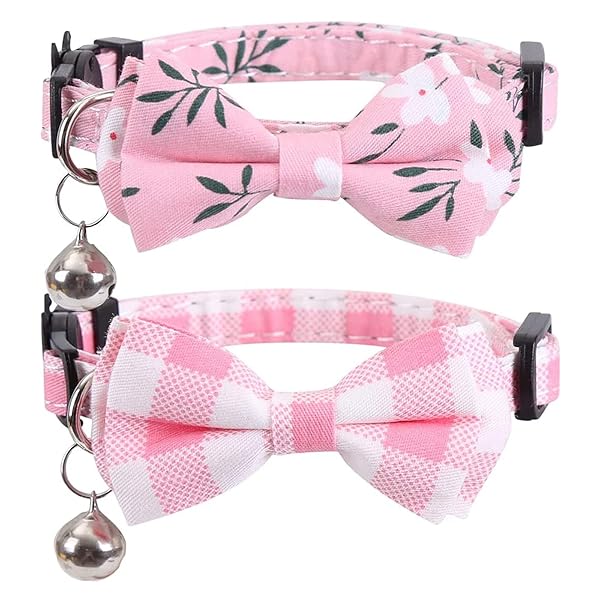 ǭ ǭ  Ҹ ǭμ 2ĥå  դ ĳդ Ĵǽ İ  ڥåȼ եƥХå +å ...