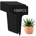 園芸ラベル 植物タグ 植物ラベル 100枚入り T型ラベル 園芸 花壇 鉢植 ガーデニング 再使用可能 ガーデニング 看板 ミニ黒板 インテリア 園芸用品 (黒...