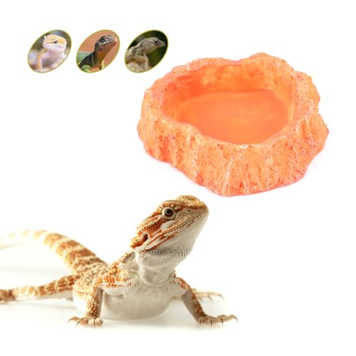  ξ 饱 ꡼     ǥå å եǥ󥰥ǥå   ̵