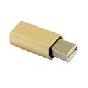 Mini Displayport ダミープラグ 仮想ディスプレイ MINIDP 4K@17hz 仮想ディスプレイアダプタ Mini-DP Displayport 仮想プラグヘッドレス ゴーストディスプレイ 2560x1600p@60Hz 送料無料